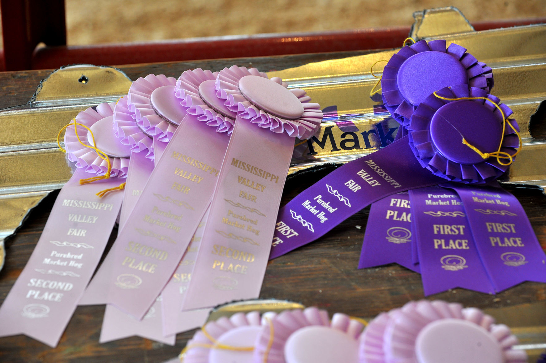 Day 5 of the Mississippi Valley Fair